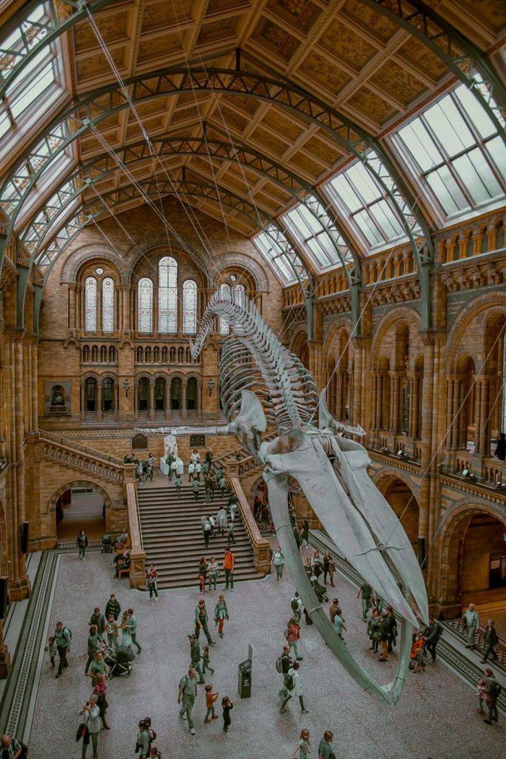 Place Natural History Museum