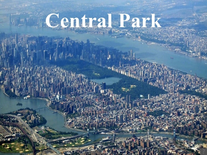 Place Central Park