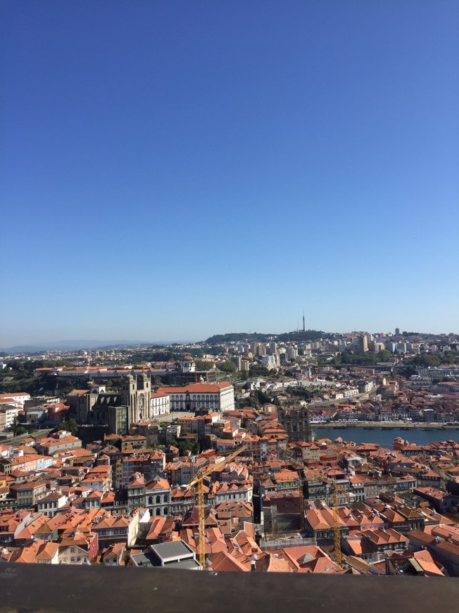 Lugar Clérigos Tower