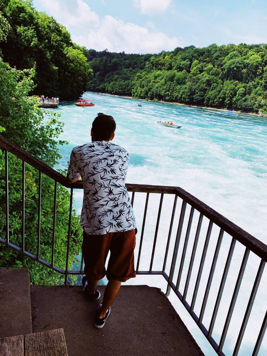 Place Rhine Falls