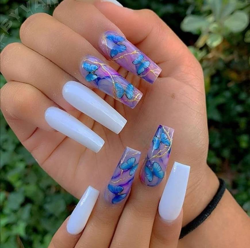 Social 🦋🦋