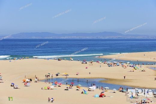 Lagoa de Albufeira