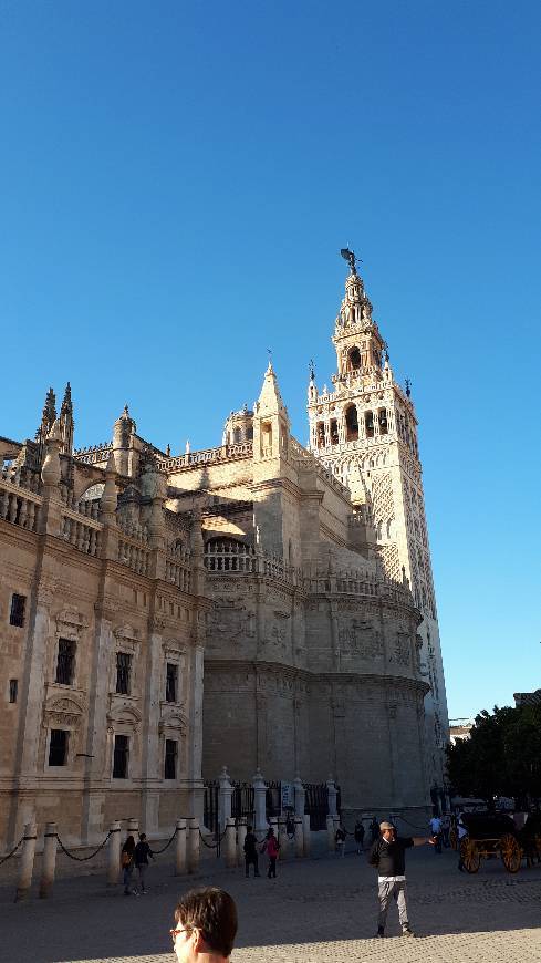 Place Catedral de Sevilla
