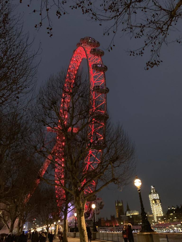 Place London Eye