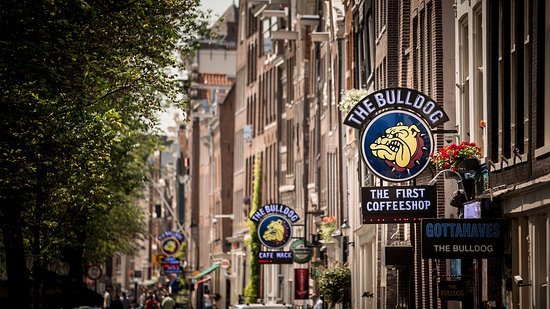 Lugar Bulldog Coffeeshop