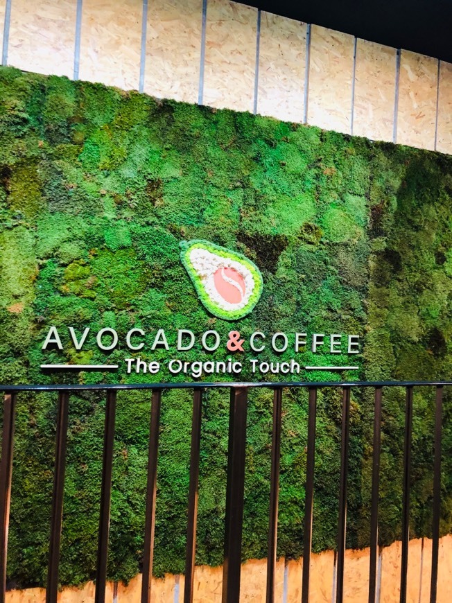 Restaurants Avocado and Coffee