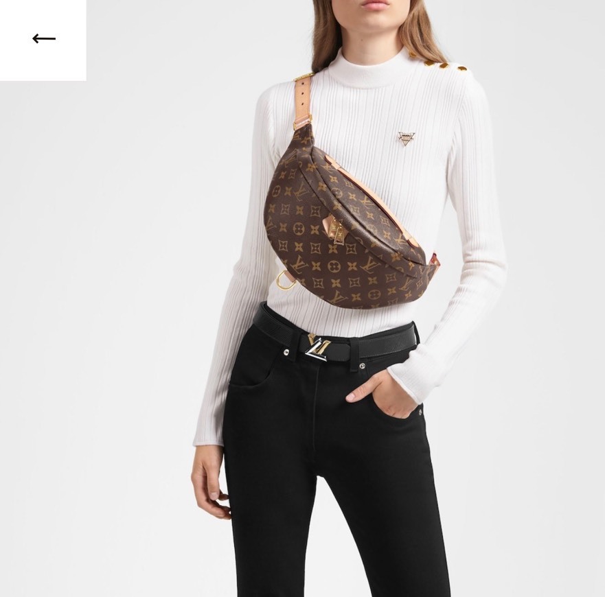 Fashion Louis Vuitton Monogram Bumbag