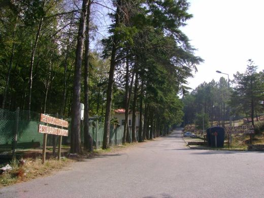 Parque Campismo Merujal (Freita)