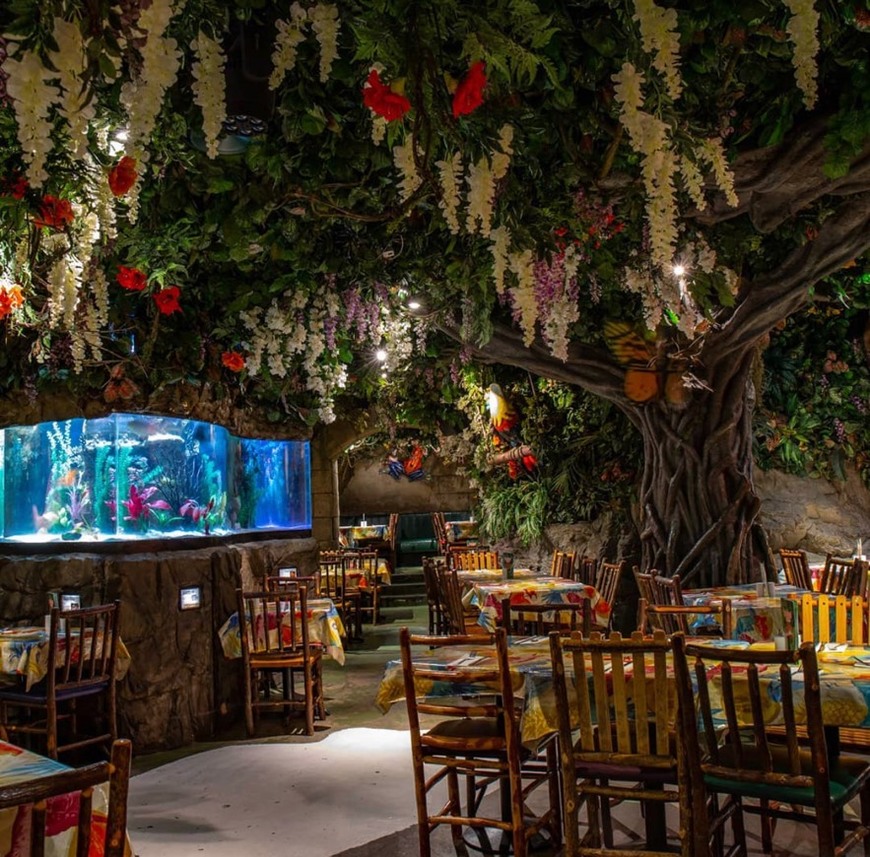 Restaurants Rainforest Cafe