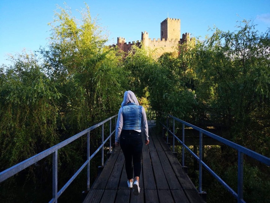 Place Castelo de Almourol