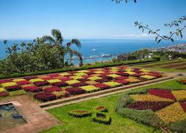 Lugar Jardín Botánico de Madeira