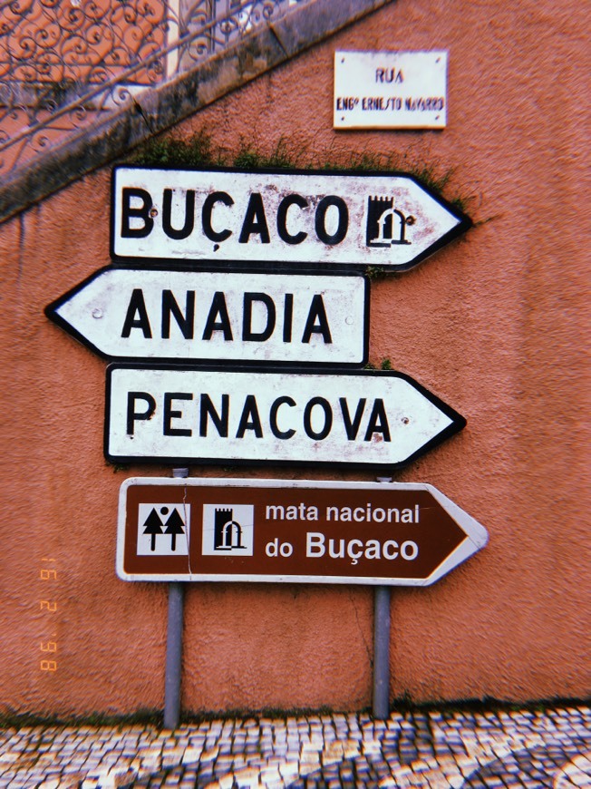 Tuna Luso Brasileira