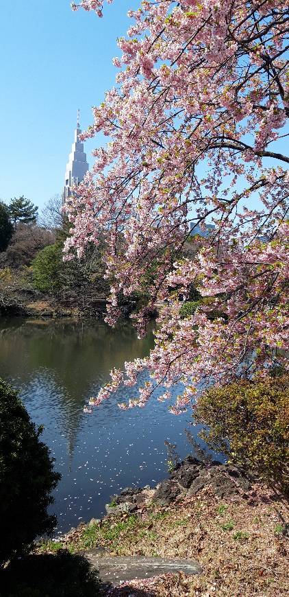 Lugar Tokio