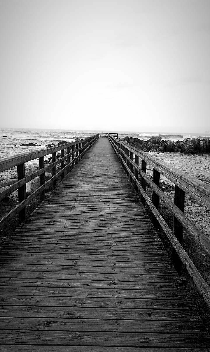Place Praia Norte