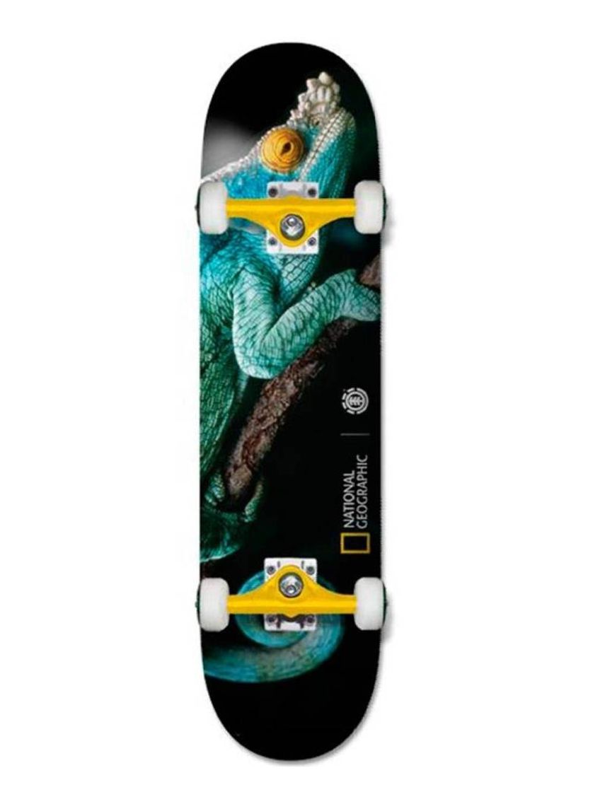 Fashion Element Skateboards 8"

