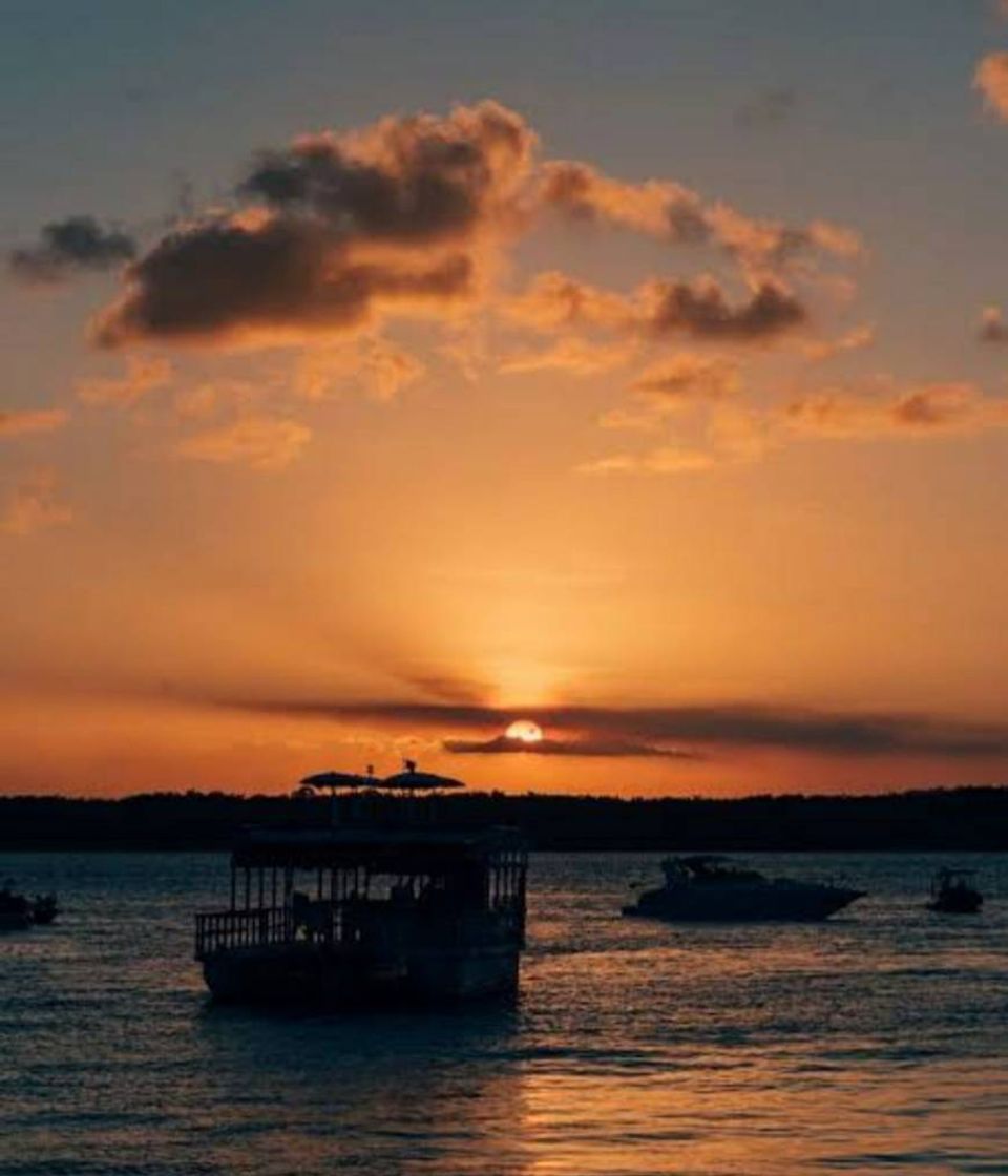 Lugar Praia do Jacaré