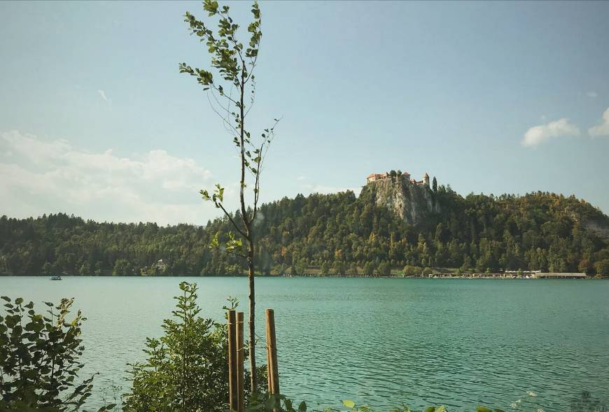 Lugar Lago Bled