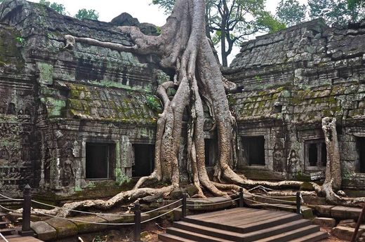 Ta Prohm