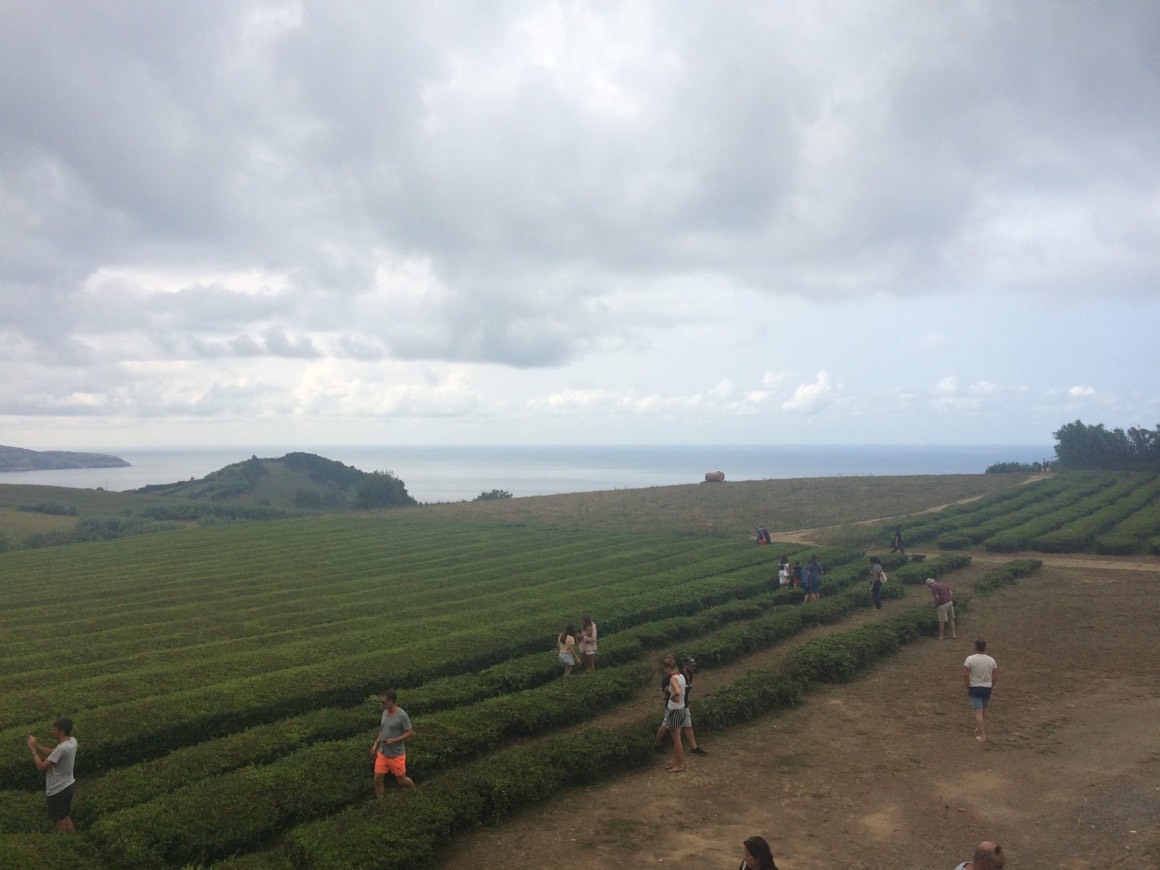 Ribeira grande- maia