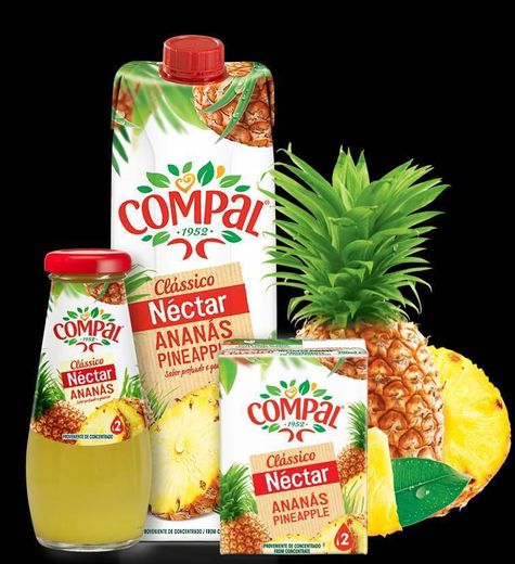 Compal Ananás 