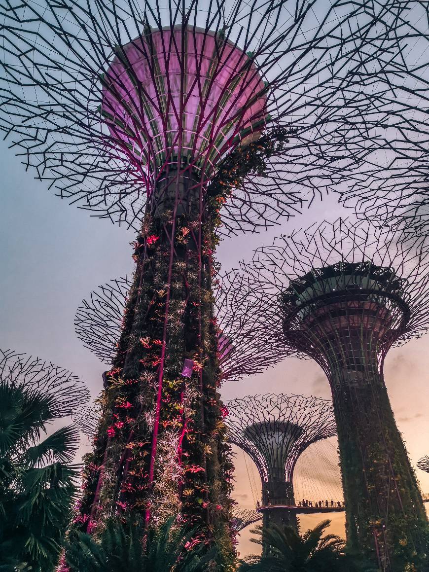 Lugar Singapur