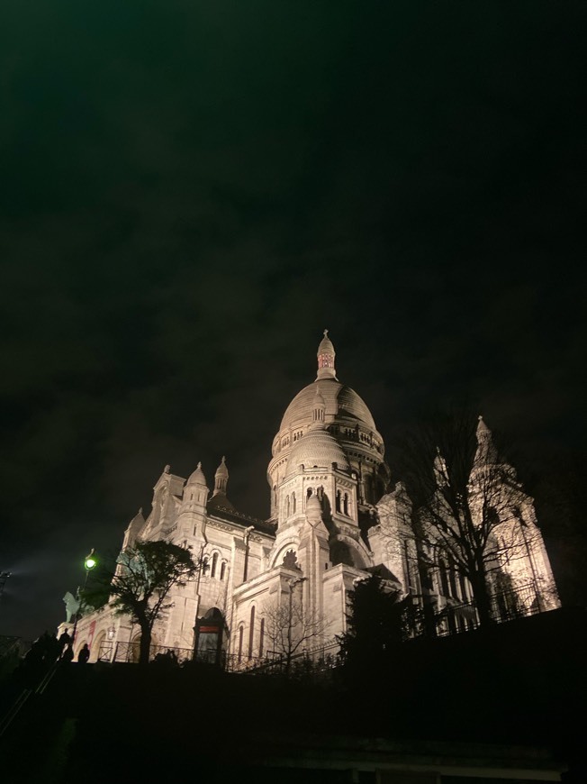 Place Sacre Coeur Cathedral