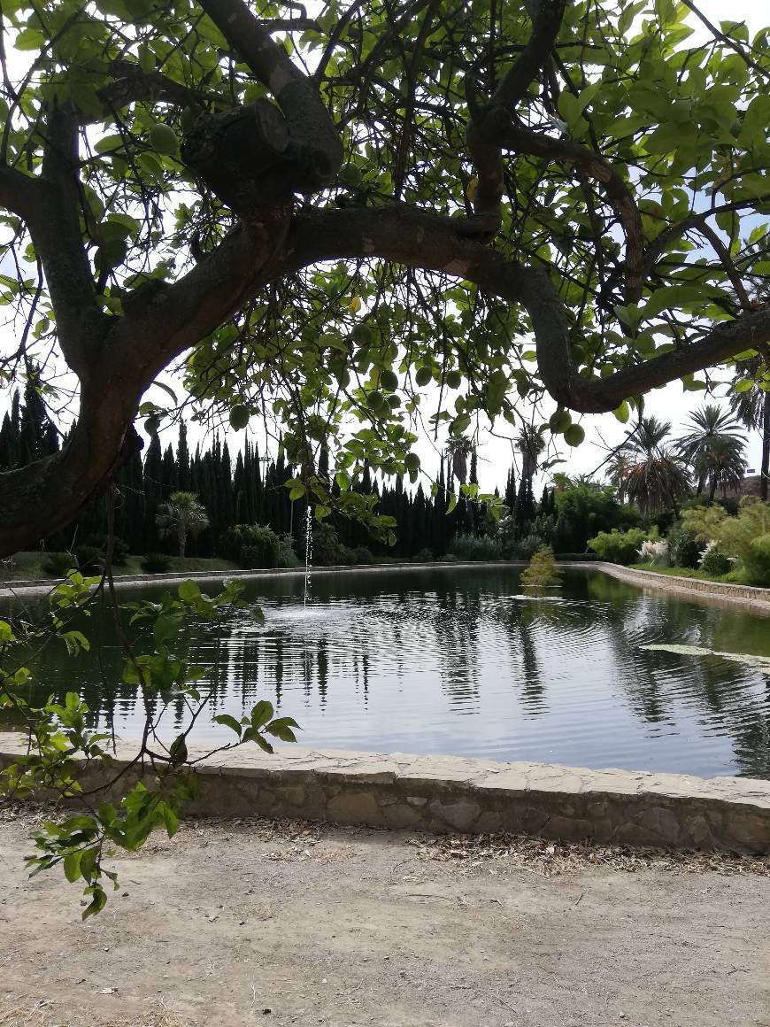 Lugar Parque Botánico Resort & Country Club