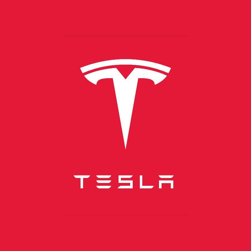 Fashion Tesla