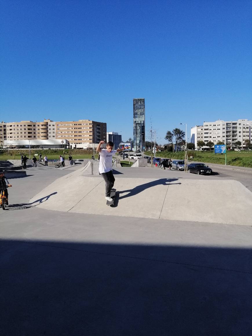 Lugar Skate Park da Maia