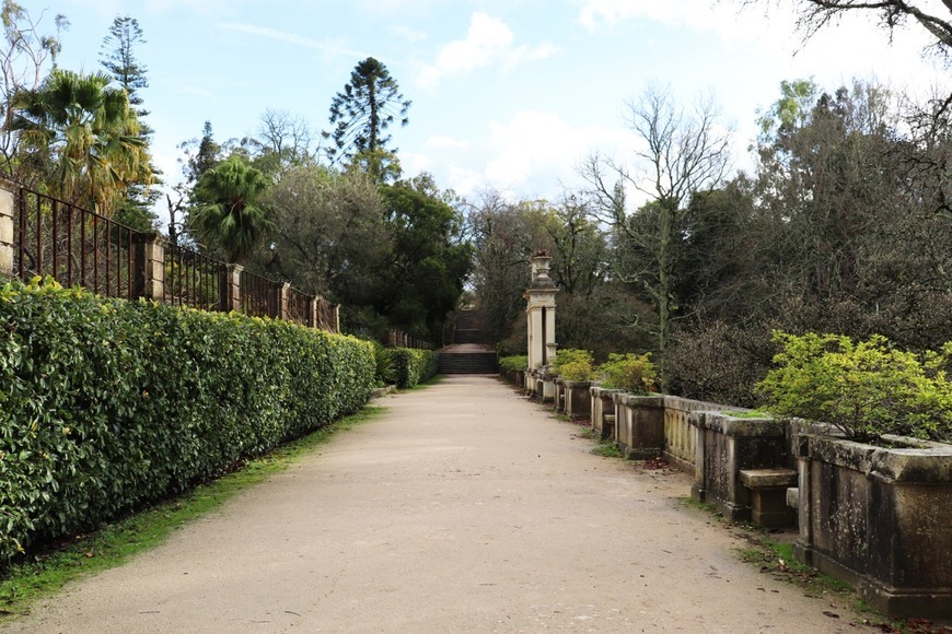 Lugar Jardim Botânico da Universidade de Coimbra