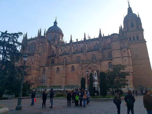 Catedral de Salamanca