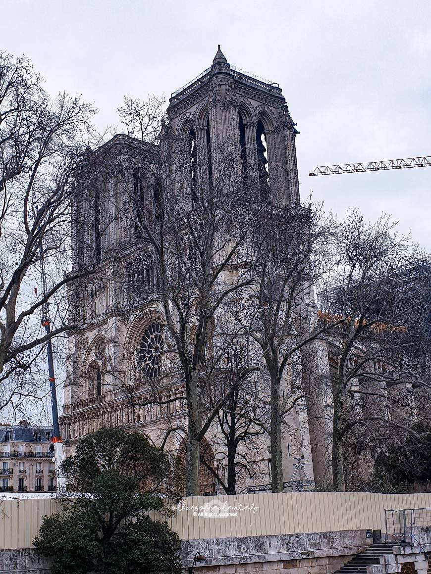 Lugar Notre Dame