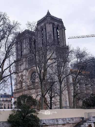 Notre Dame