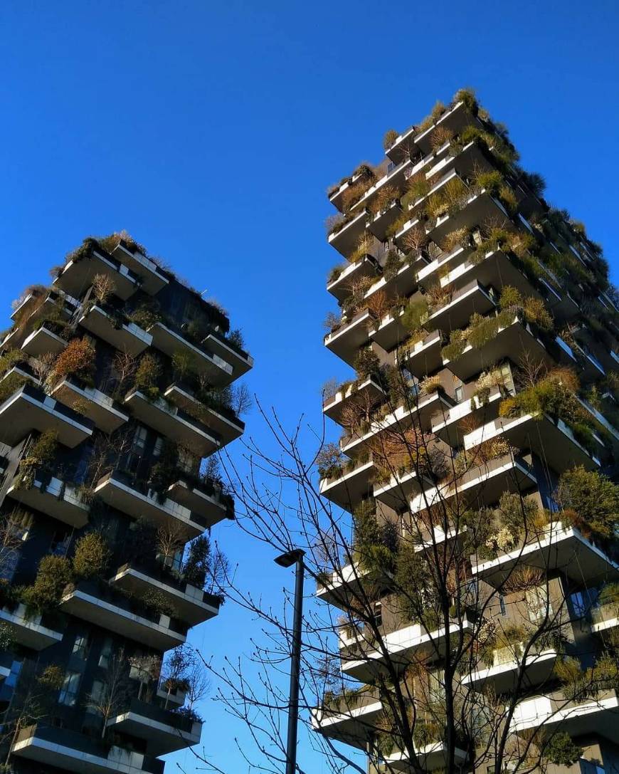 Place Bosco Verticale