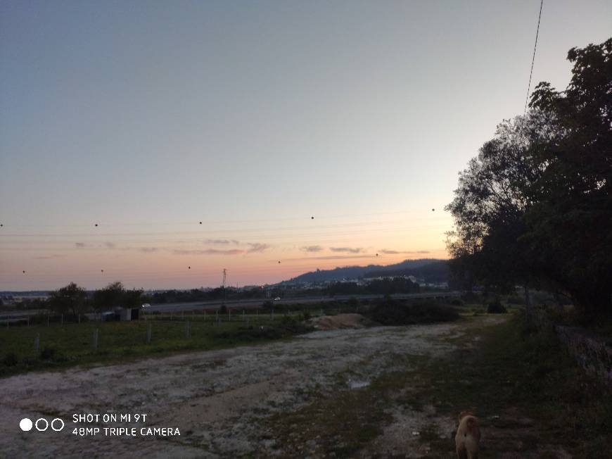 paisagem - Wikcionario