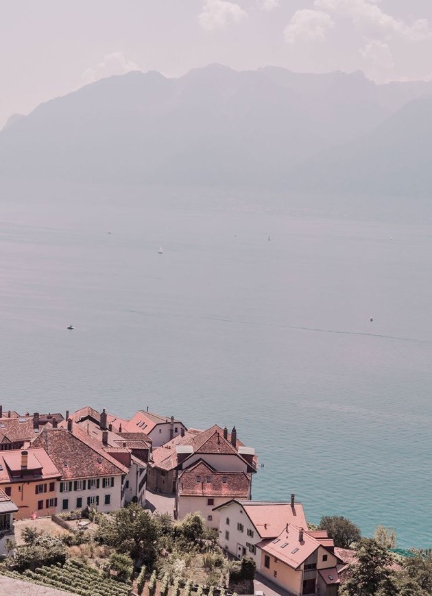Montreux cafe' and farm