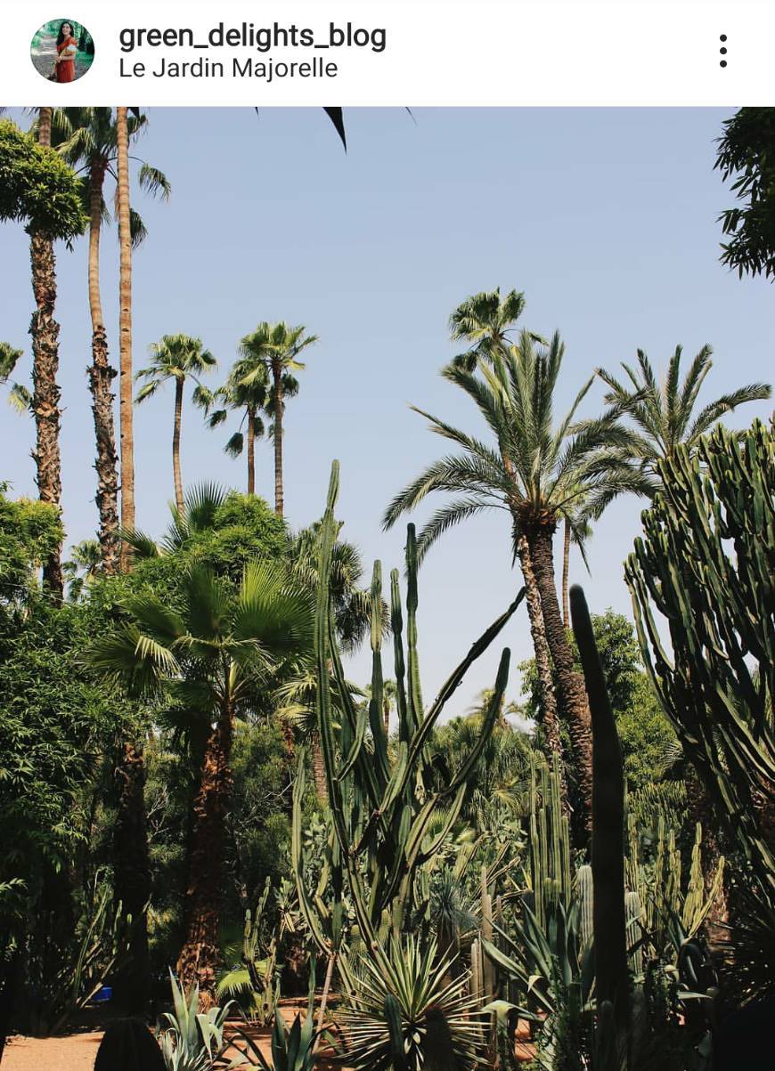 Lugar Jardín Majorelle