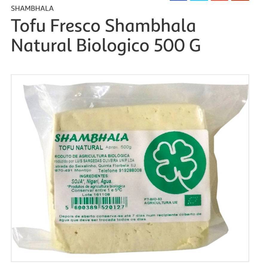 Moda Tofu Shambhala