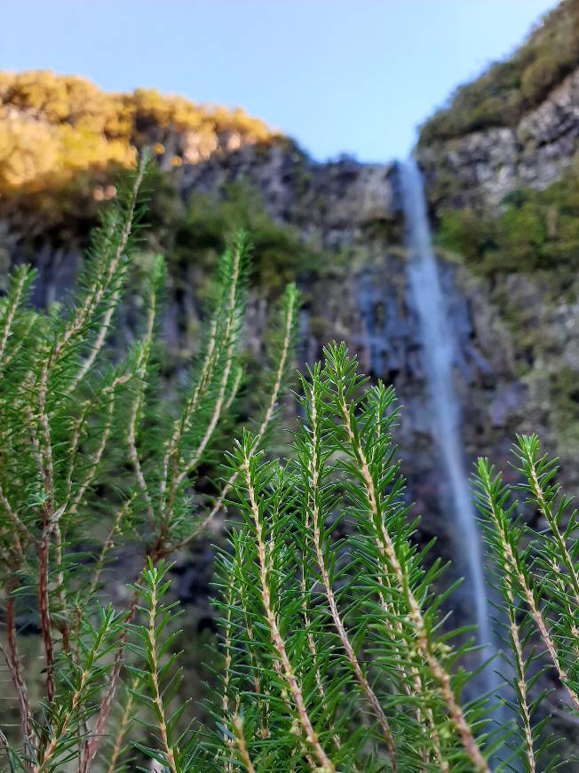 Lugar Ribeiro Frio