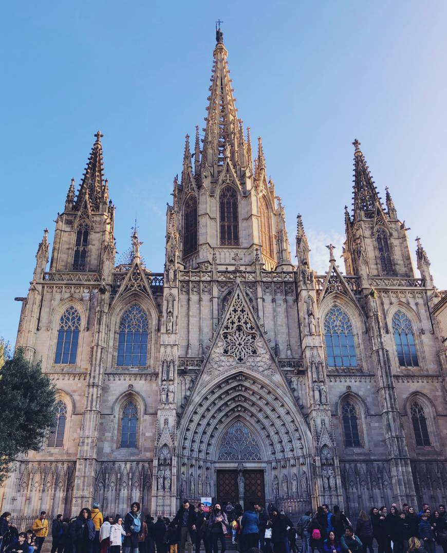 Lugar Catedral de Barcelona