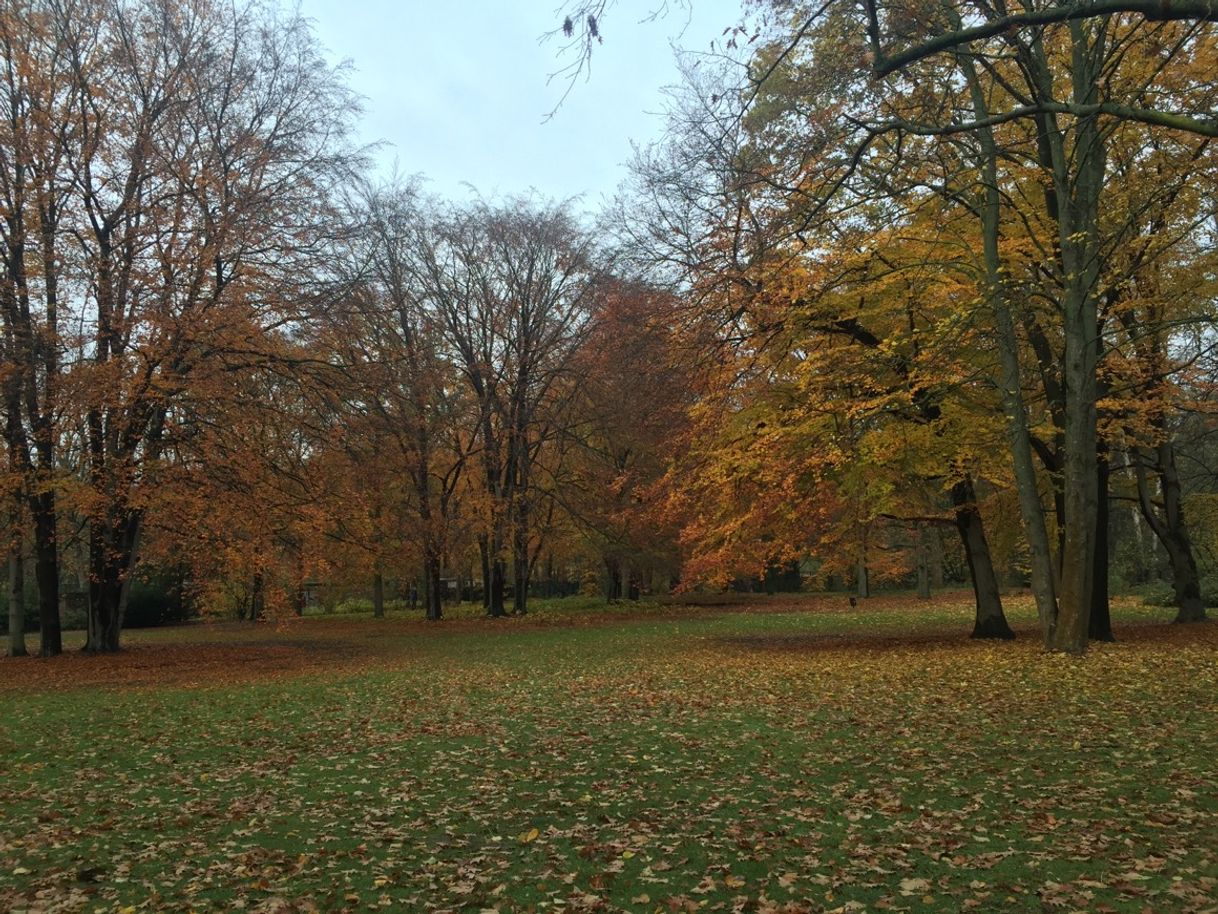 Lugar Tiergarten