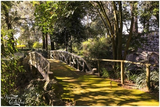 Lugar Parque São Roque- Porto