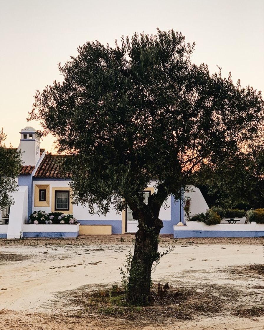 Lugar Herdade do Touril