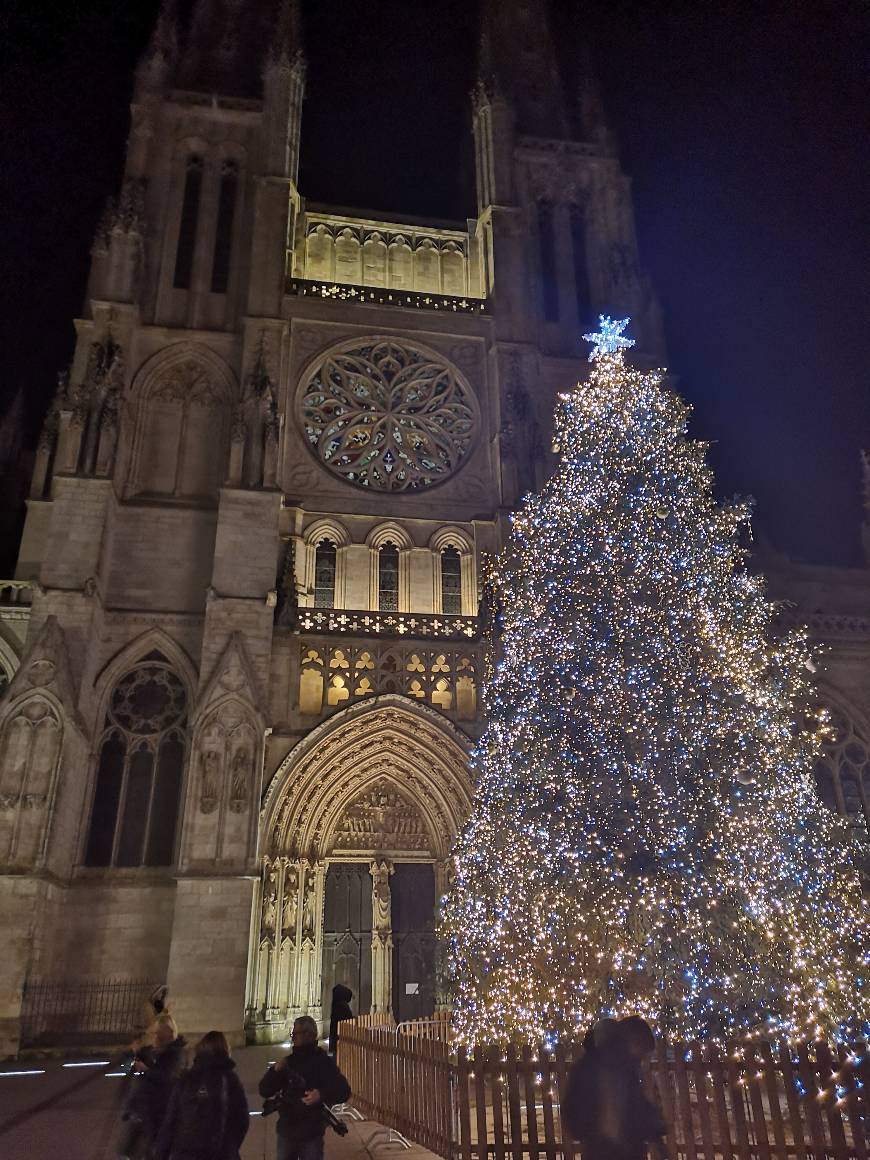 Place Bordeaux Cathedral