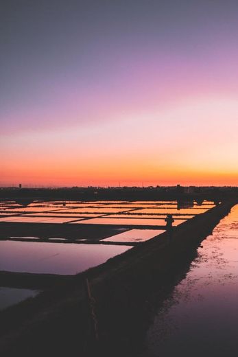 Salinas de Aveiro