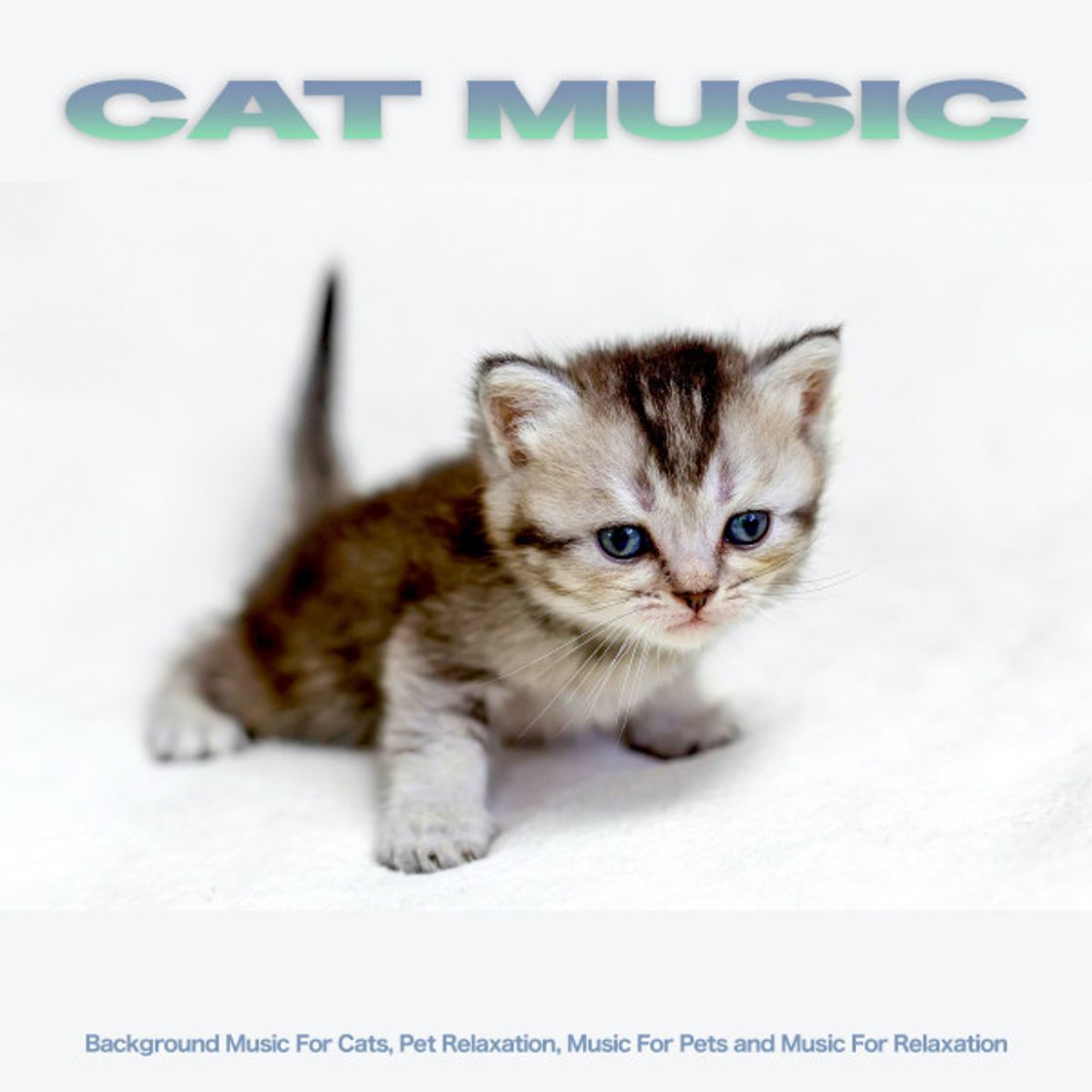 Canciones The Best Cat Music