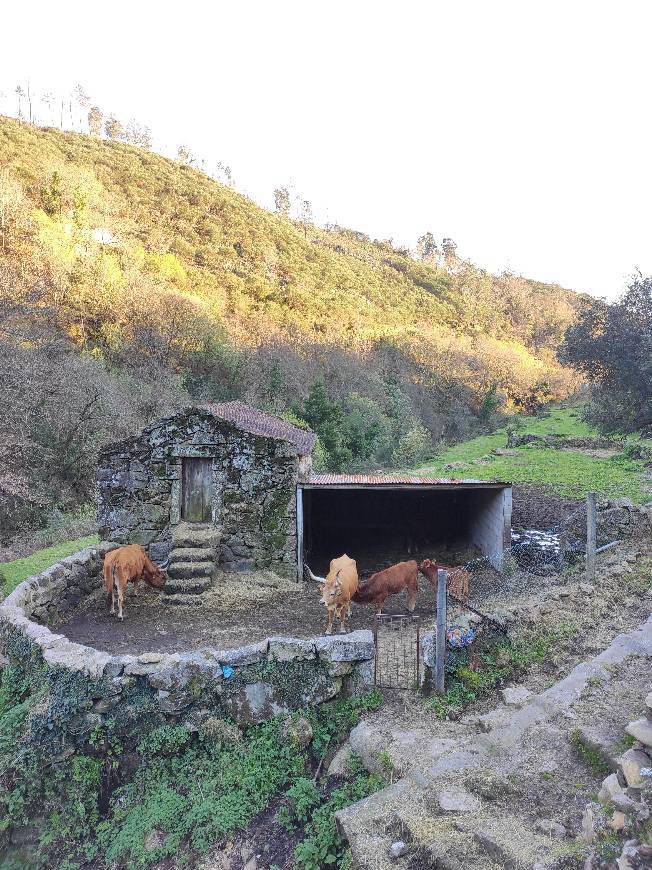 Lugar Gerês