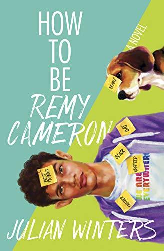 Book How to Be Remy Cameron