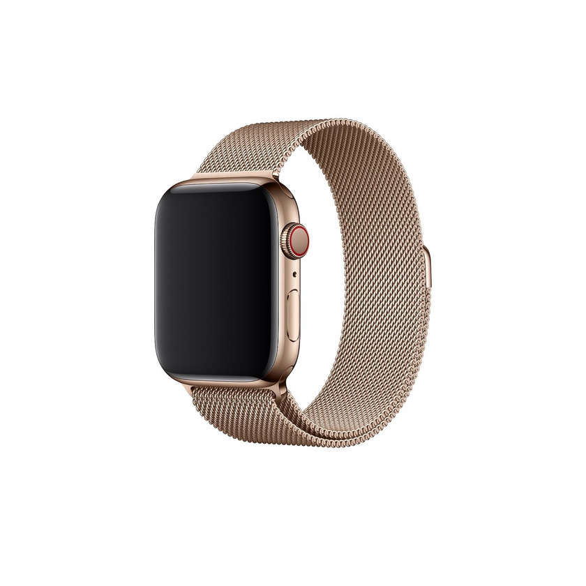 Productos Apple Watch series 5