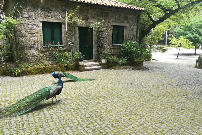 Lugar Fontelo Park